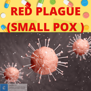 Mystery of Red Plague