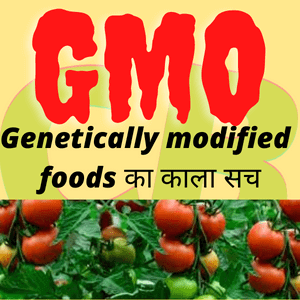 Genetically modified foods का काला सच